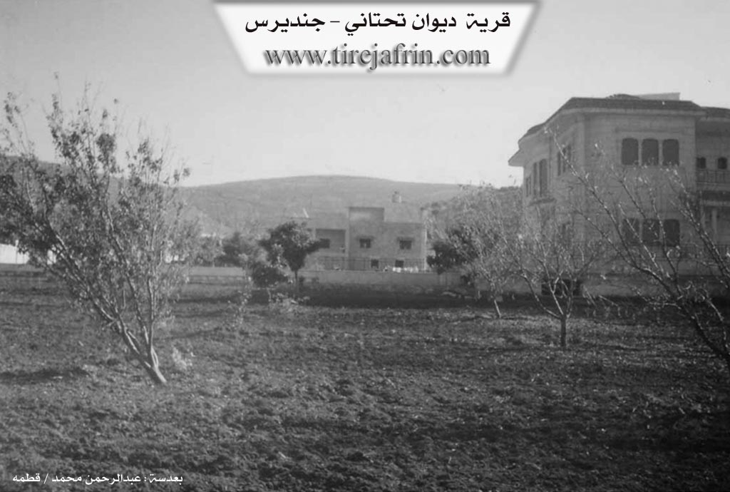 Photo of Dêwê Jêrin
